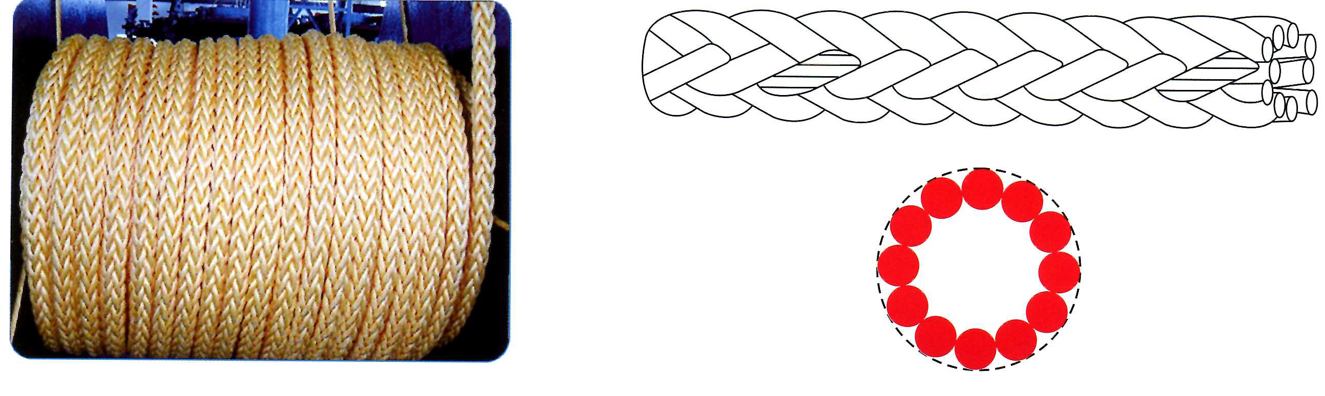 12 strand rope 