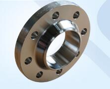 stainless steel welding neck flange