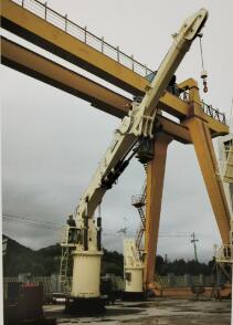Hydraulic telescope knuckle crane